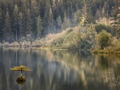 Fairy Lake, Vancouver Island, BC