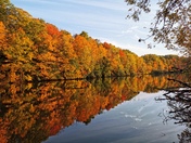 Fall colours