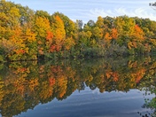 Beautiful fall colors