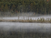 Algonquin Tranquility