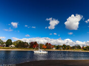 Fall in Ontario - 2020 - park in the city