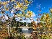 Fall and the city - Fall 2020 in Mississauga