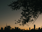 Toronto Skyline from Riverdale Park