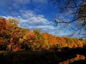 Beautiful fall colors