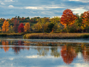 Autumn reflections