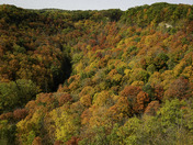 Dundas Colours