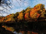 EPIC Fall colors