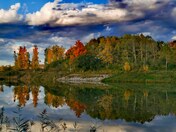 Reflection