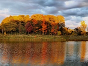 Reflection of colours