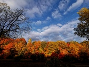 Clouds and Fall colours