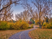 Fall Leaves Lining A Park Pathway