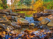 Waterfall In An Autumn Forest