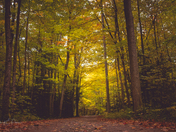 I Love Fall Most of All