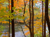 Fall on the Humber