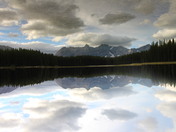 Upside down or rightside up?