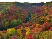 Spencer Creek Gorge.