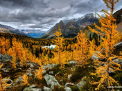 Gold in the Mountains