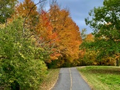Colours of the Season