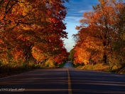 The Right colours for the Season