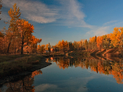 Autumn in Inglewood