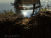 Sec Lake Tent Camping