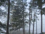 Sec Lake Tent Camping