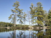 Sec Lake Tent Camping