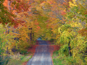 Fall colors in and around Norland Ontario