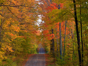 Fall colors in and around Norland Ontario