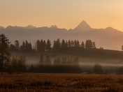 Misty Mount Fisher