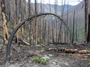 After the burn