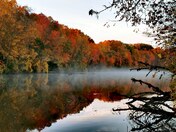 Beautiful Fall colors hiking