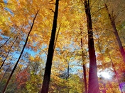Beautiful hiking in fall colors