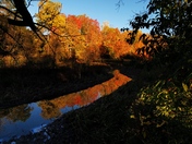 Beautiful fall colors and reflection
