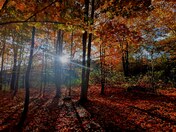 Fall colors hiking