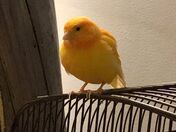 My Name is Sunny 