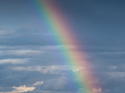 Chased a Rainbow