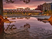 Sunrise Puddle Reflections