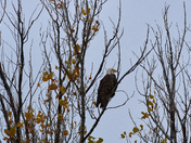 Scanning the Terrain