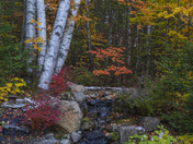 Colourful autumn