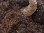 Ready for My Close Up