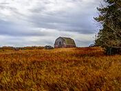 By the side of the highway 