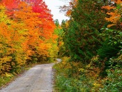 Autumn Road Less Travelled