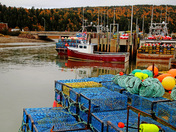 Lobster Season @ Alma, NB