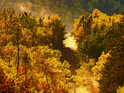 The Road Less Travelled 