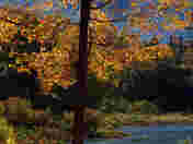 Fall in Dorset, Ontario