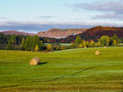 On a autumn morning 