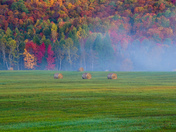 Fall colors 