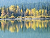 Seasonal colour combo