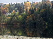 Fall Colours at the Lake